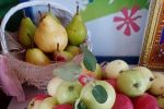 Подробнее: СОГБУ «Никольский ПНИ» поздравляет всех с Яблочным Спасом !!!!!!!!