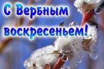 Подробнее: Со светлым праздником Вербного Воскресенья! 