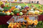 Подробнее: Праздник урожая и цветов 