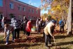 Подробнее: Субботник 