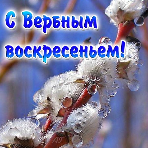 18402611.jpg
