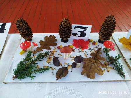 IMG-20201129-WA0012.jpg
